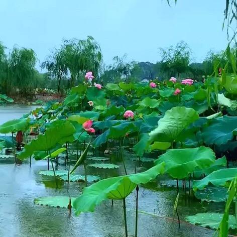 天涯