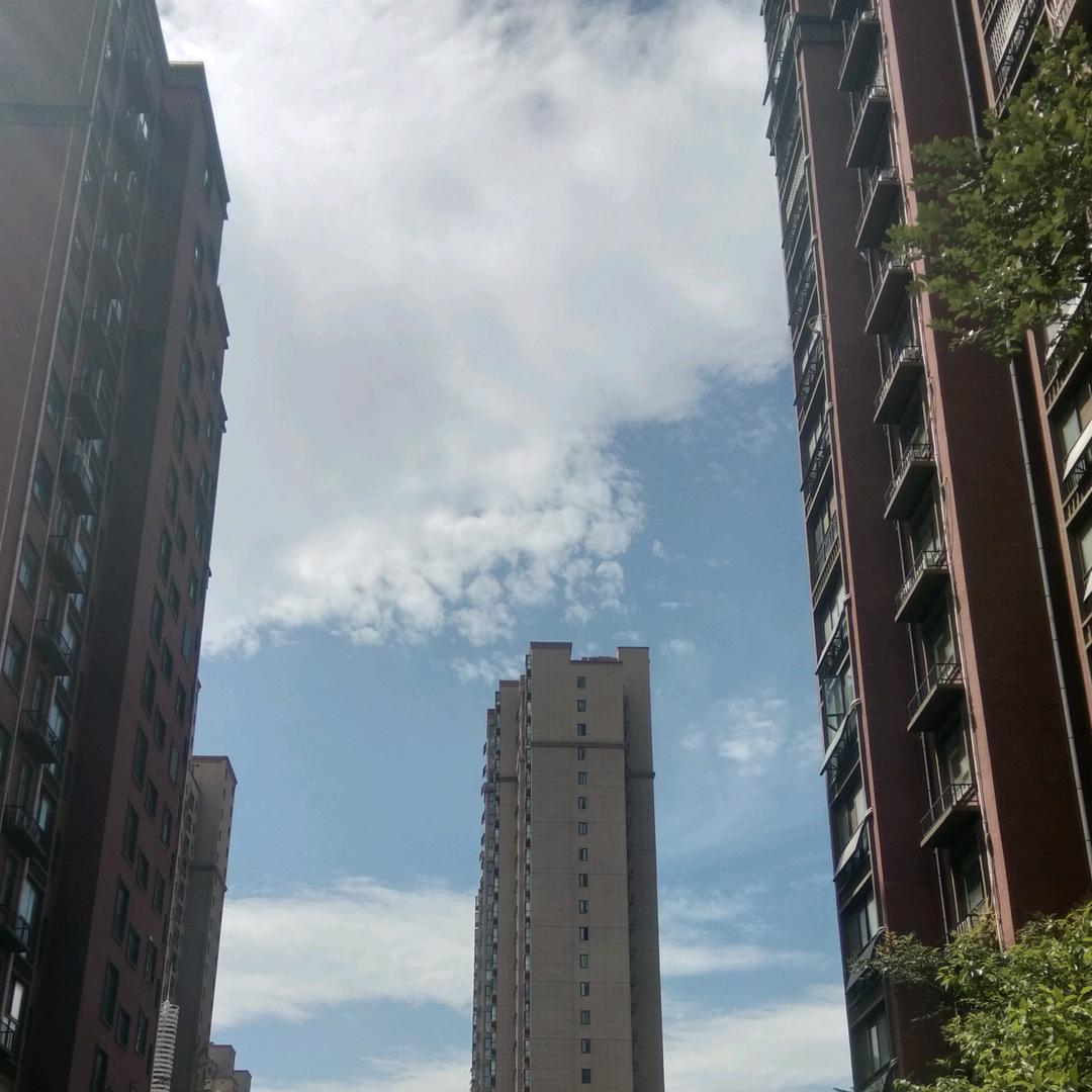 坚强的活着