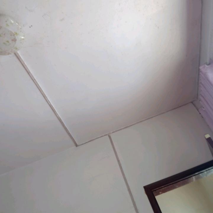 随风