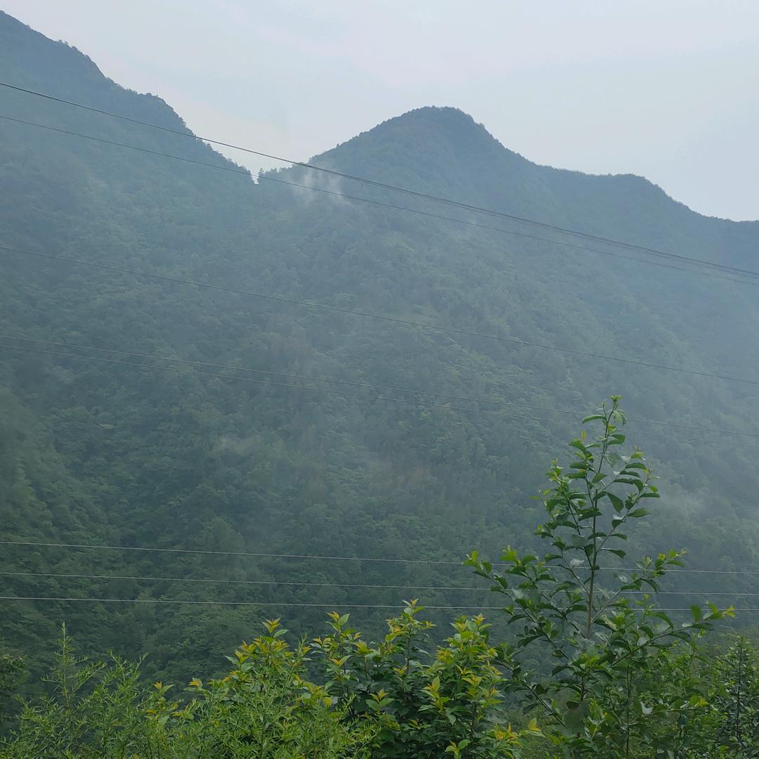 小柒哥