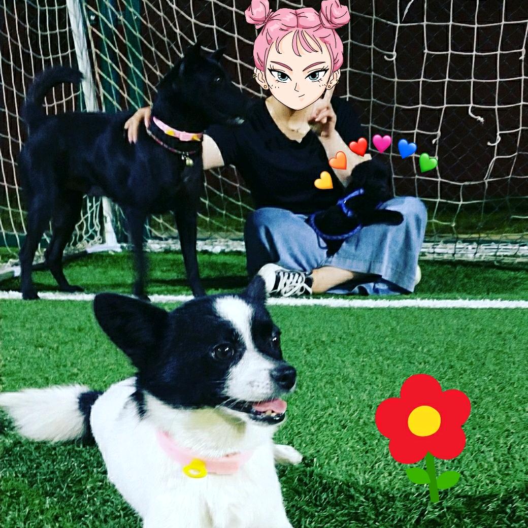 我家嘟嘟会闪光✨！