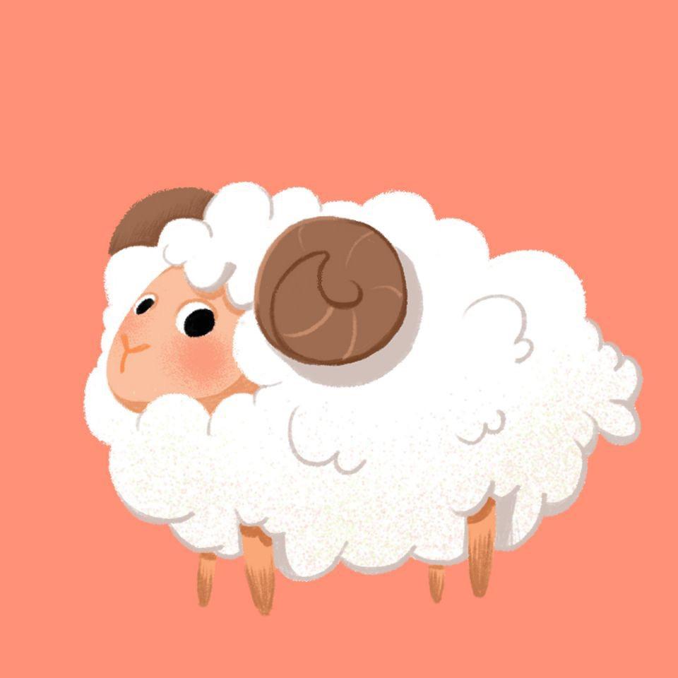 羊羊🐑