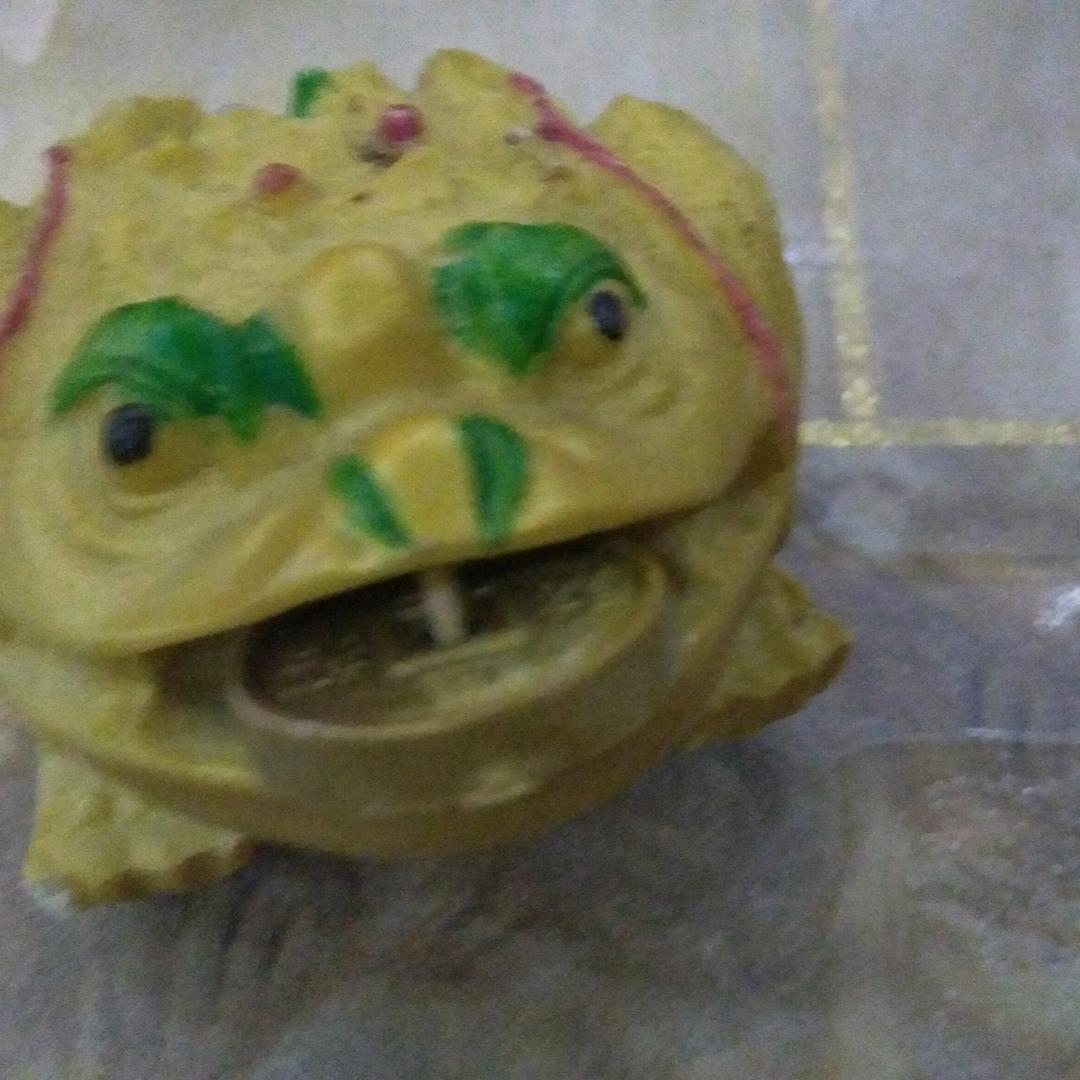 林木木