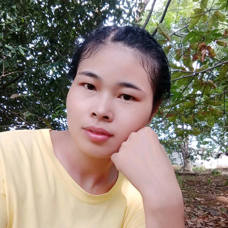 阳光总在风雨后