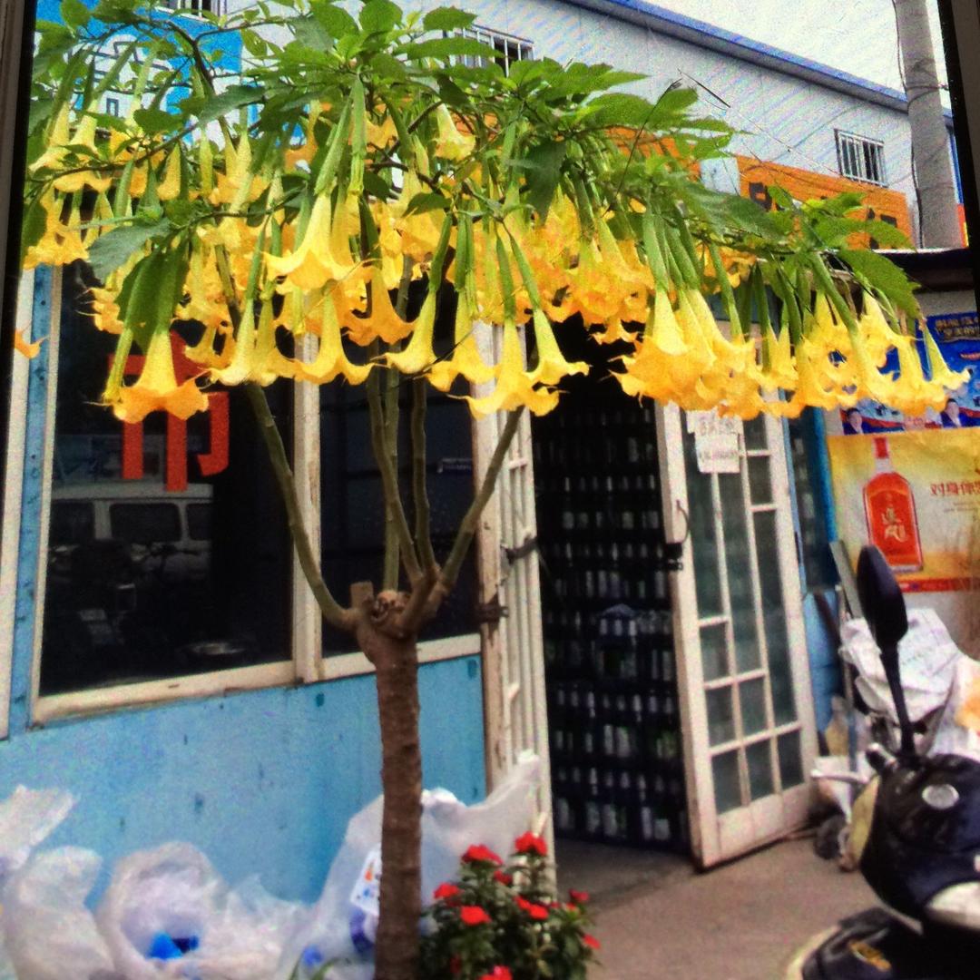 用户084431李开华