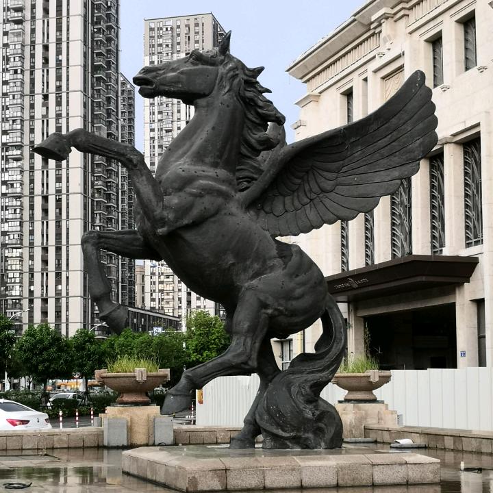 涛涛