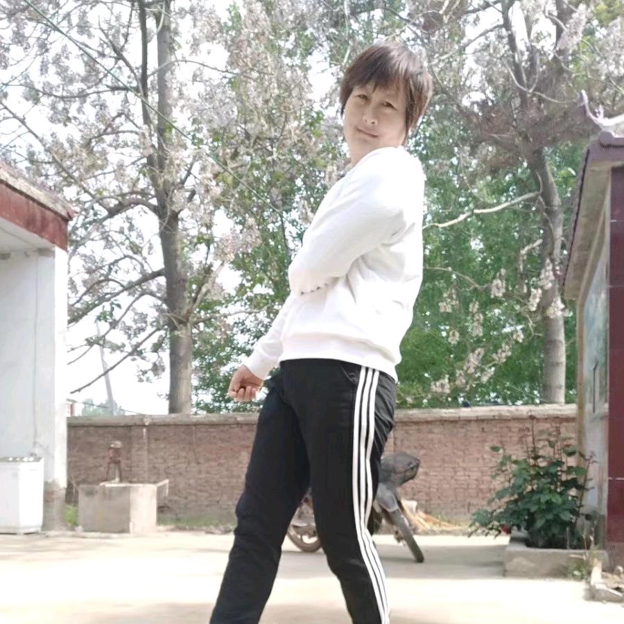 金蝉(爬蚱)知了猴