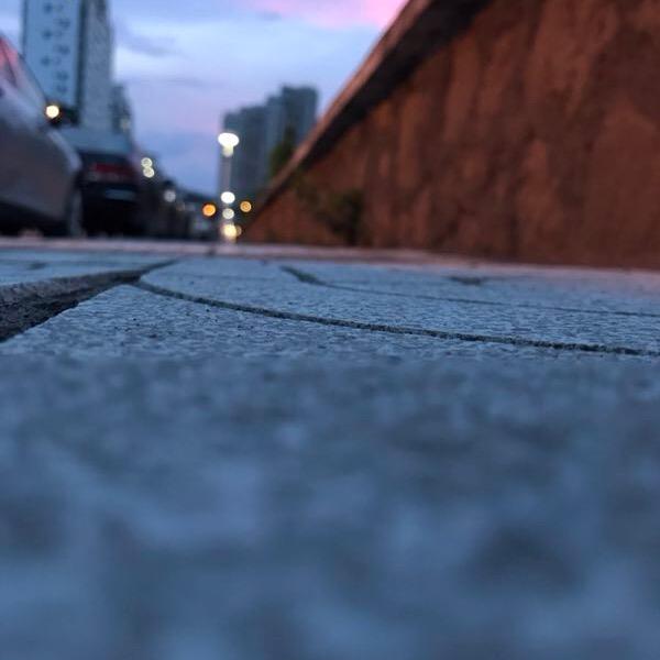 铩羽
