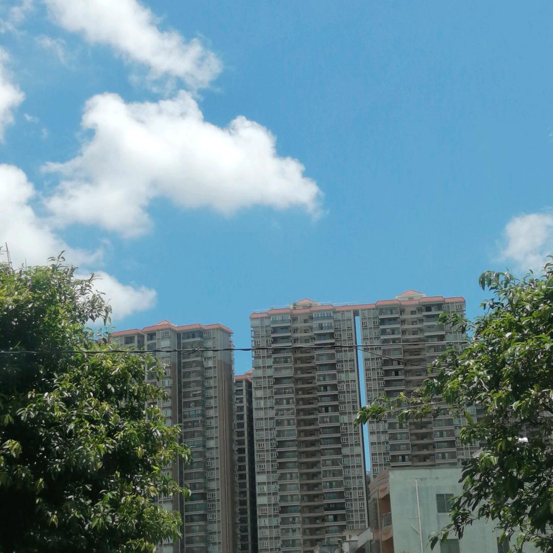 南方大米家酿