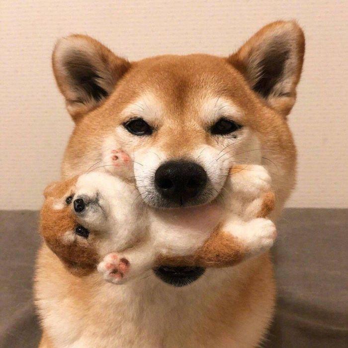 语小北