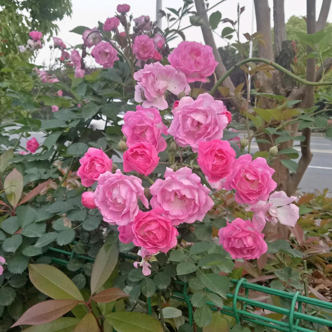 流浪远方