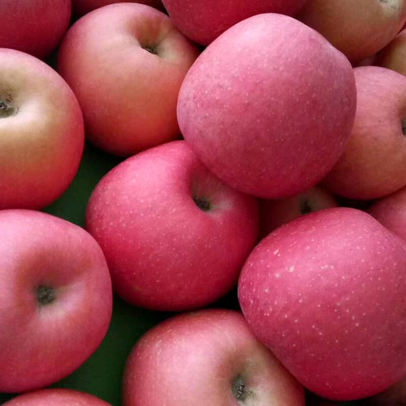 刘集果蔬批发超市