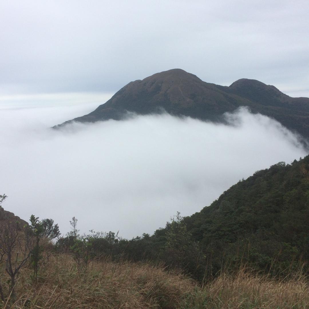 传说中的钓鱼佬（不定时直播）