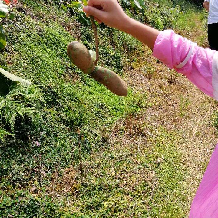 幸福一生一家人