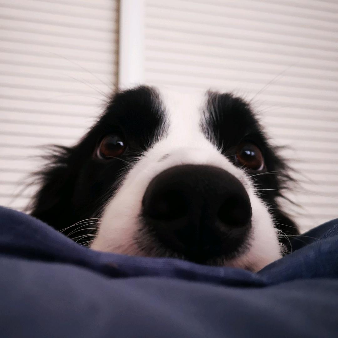 毕兹卡的婆婆🕉💋