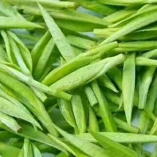 好运来🔥