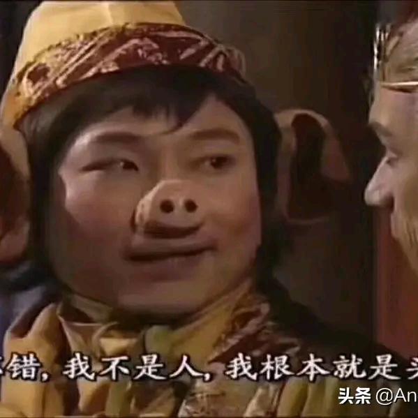 钢蛋