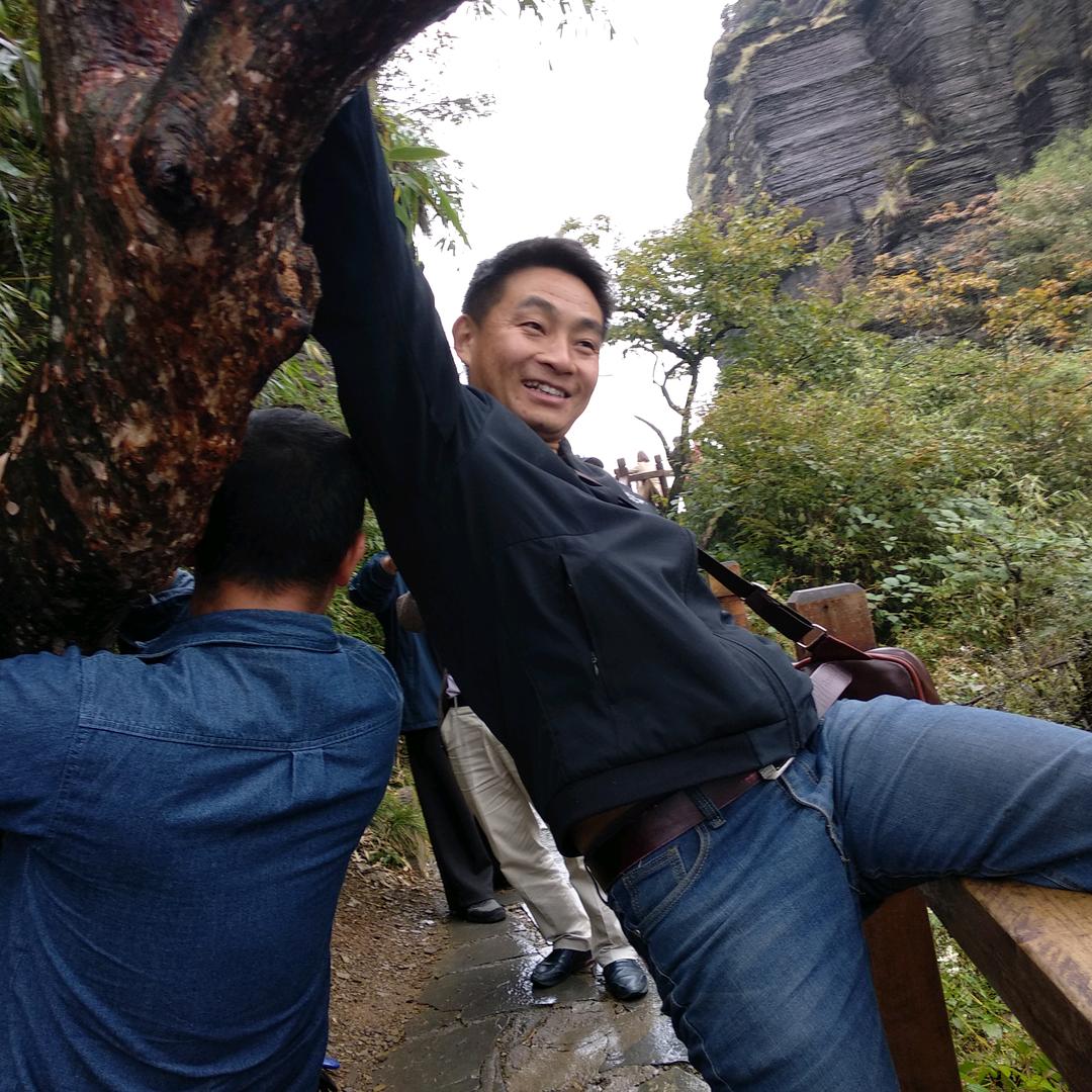 看好了在就是陆八85319468