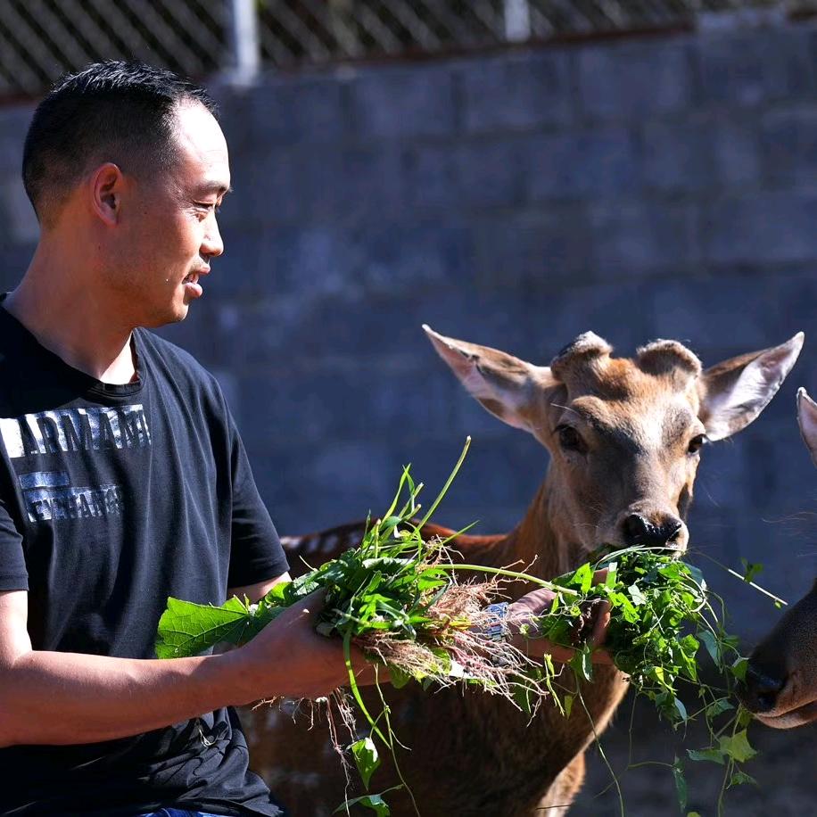 大山鹿健康产业中心