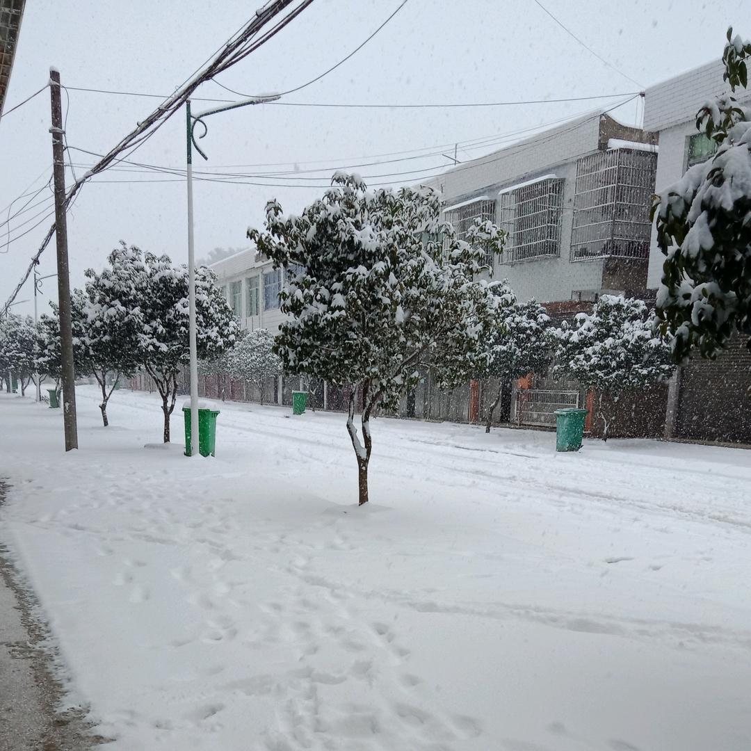 随意而安