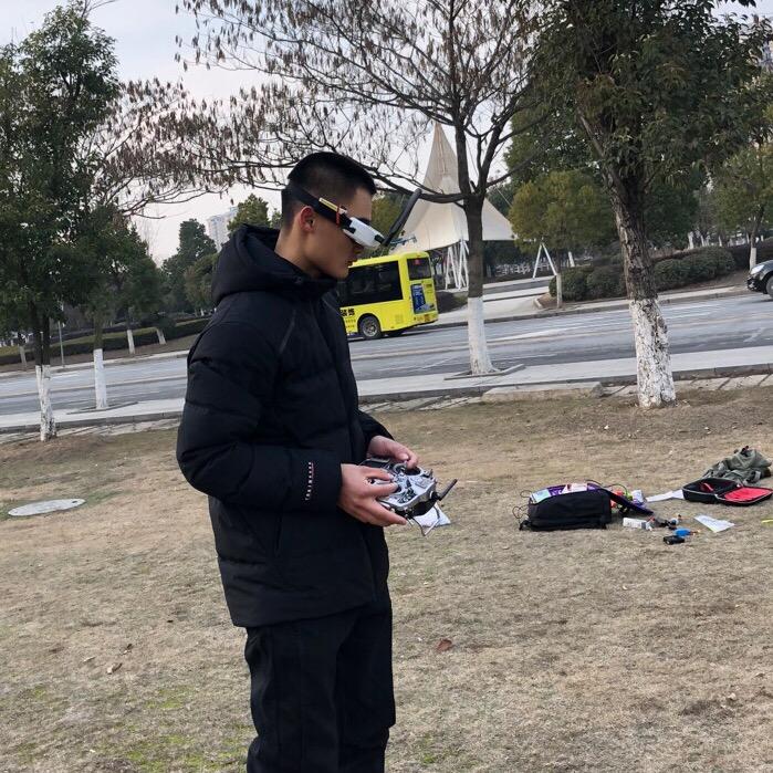 鸟儿