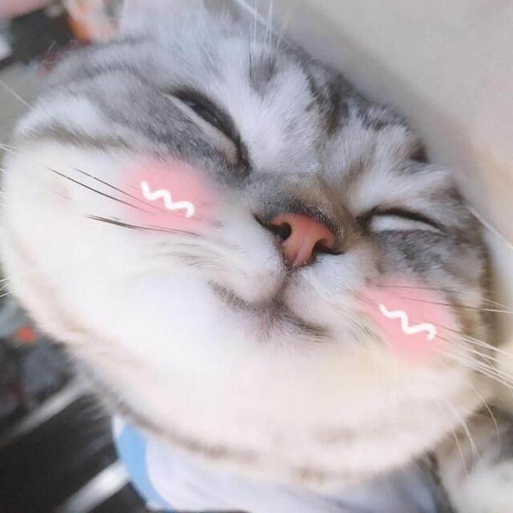 🌈✨栋哥哥✨