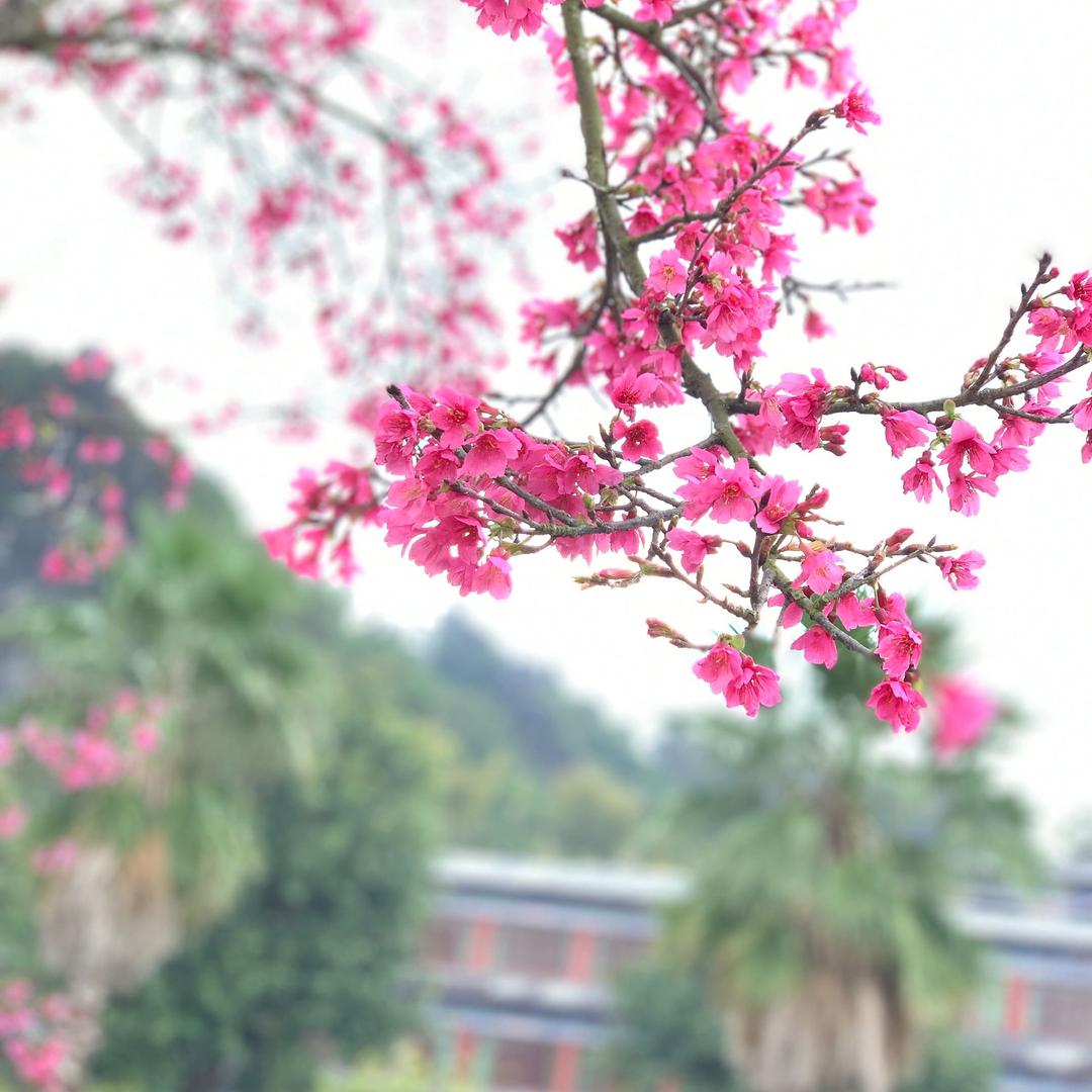 希煜☔️