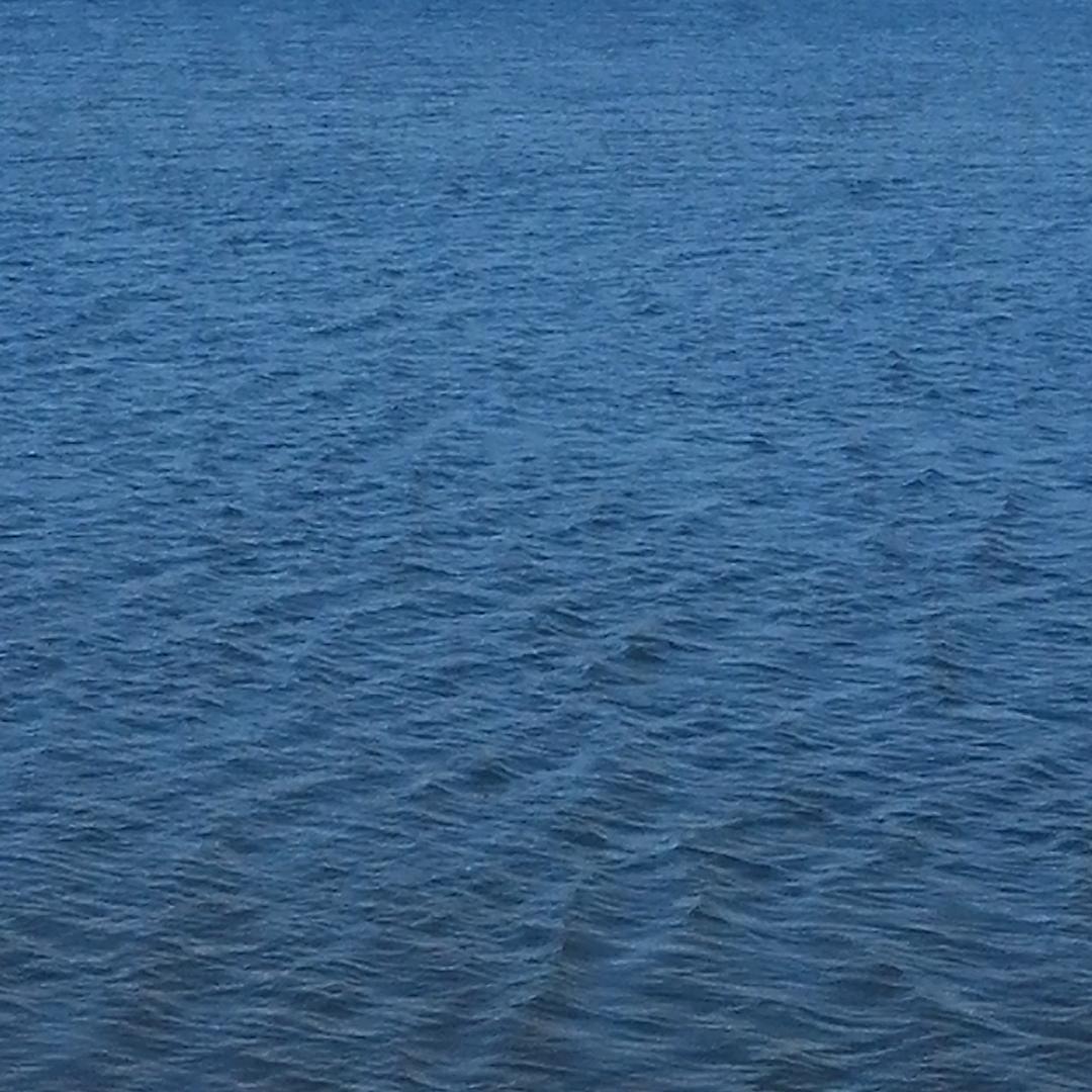新颜