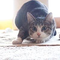 走音跑调不能忍