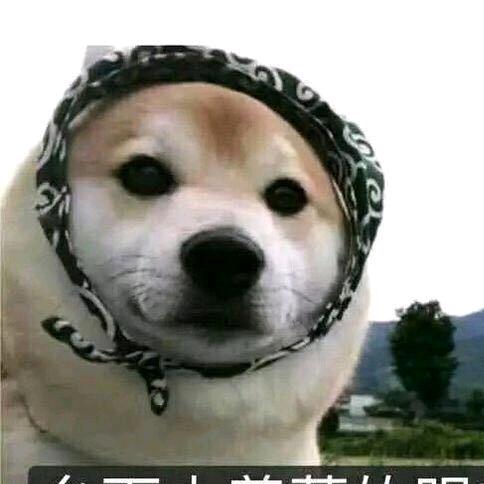 晚枫。