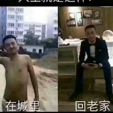 一介村夫
