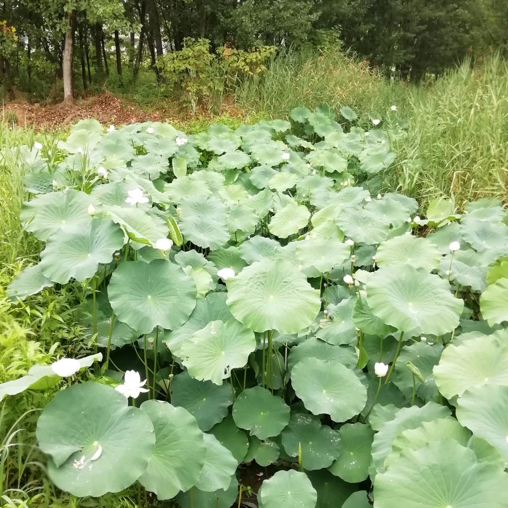 快乐开心每一天