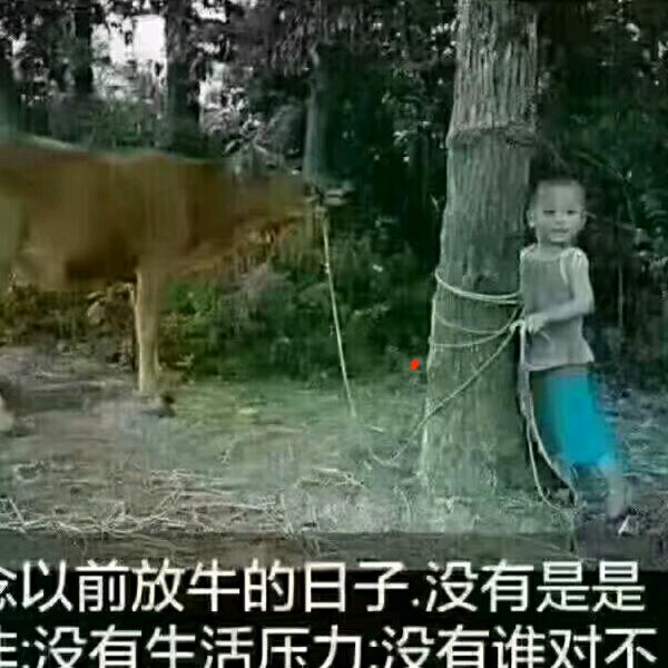 平安是福🍻