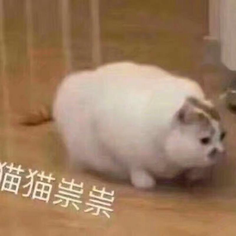 哦😯