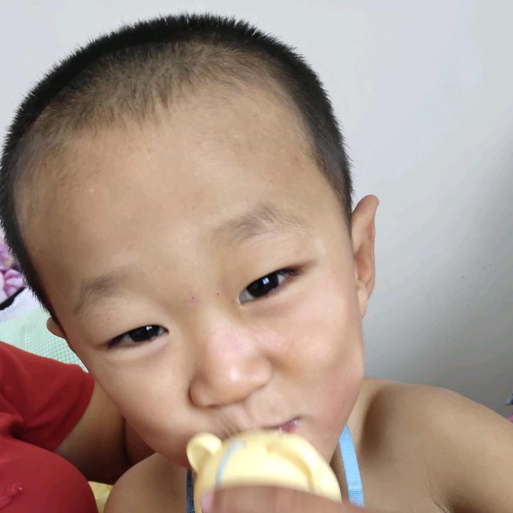 志豪