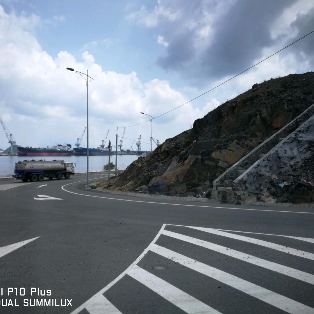 奶豆是个小胖球