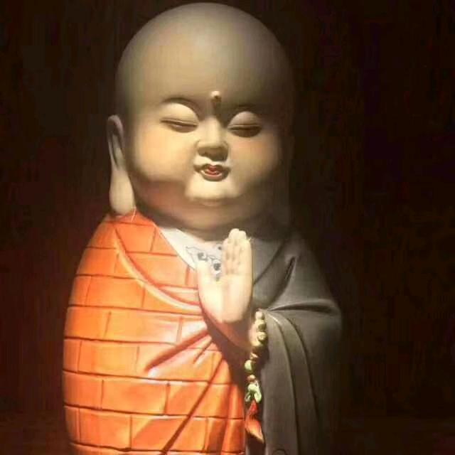 金凤🌸一花开天