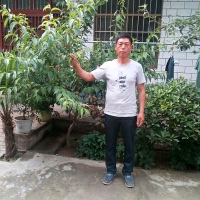 梦想圆圆