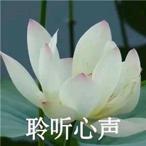 外面下雨了