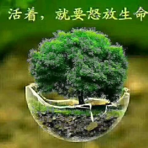 为你等待