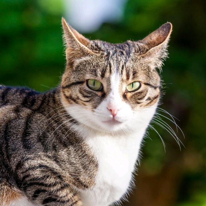 农村的小姐姐🌷🌷🌷🌷