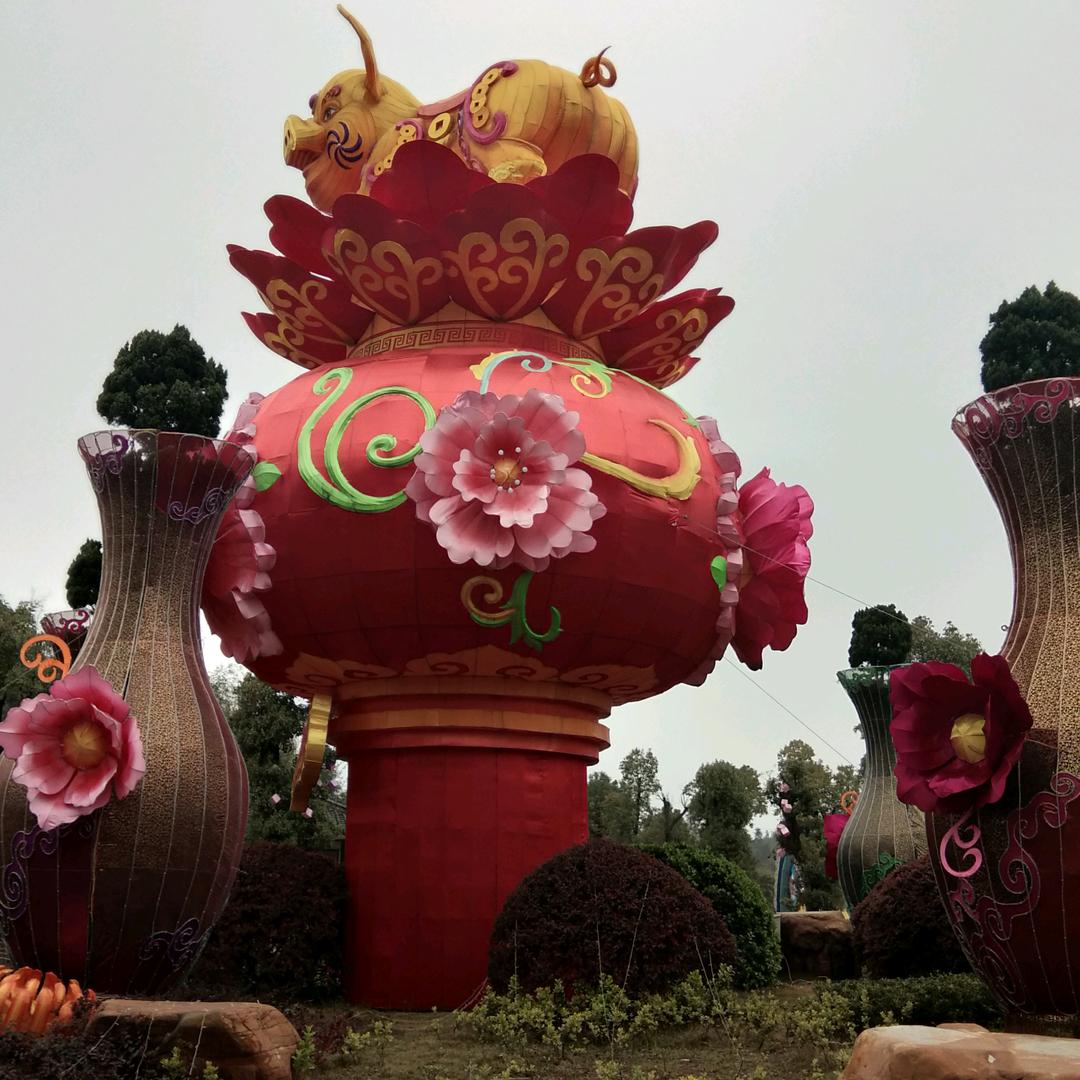 自由辉翔