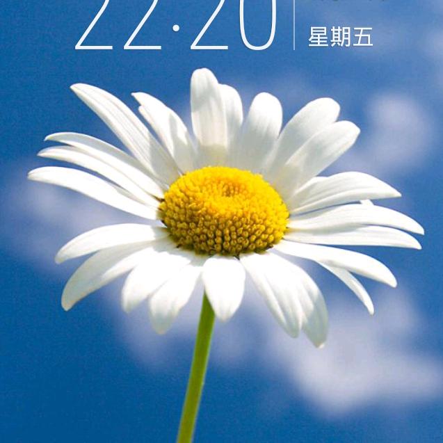 天天快乐