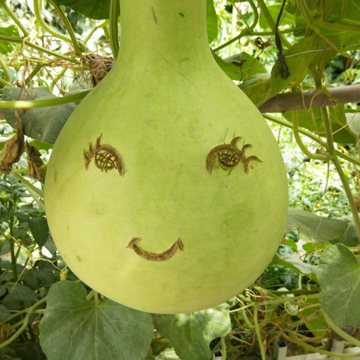 马需叁（龟兹）