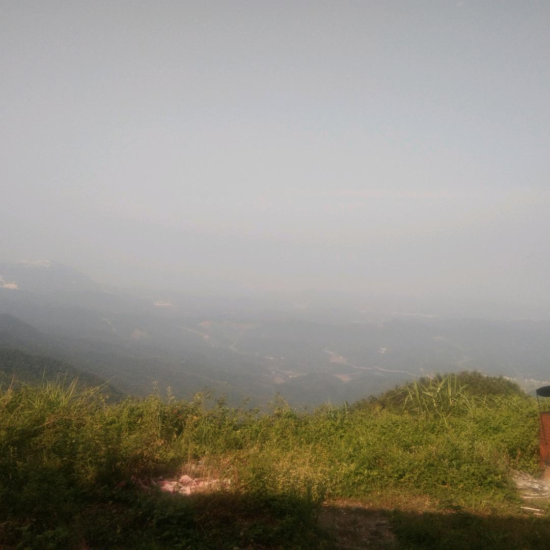 峰哥