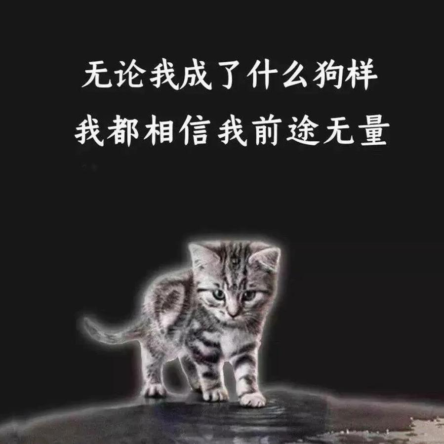 温馨提示：