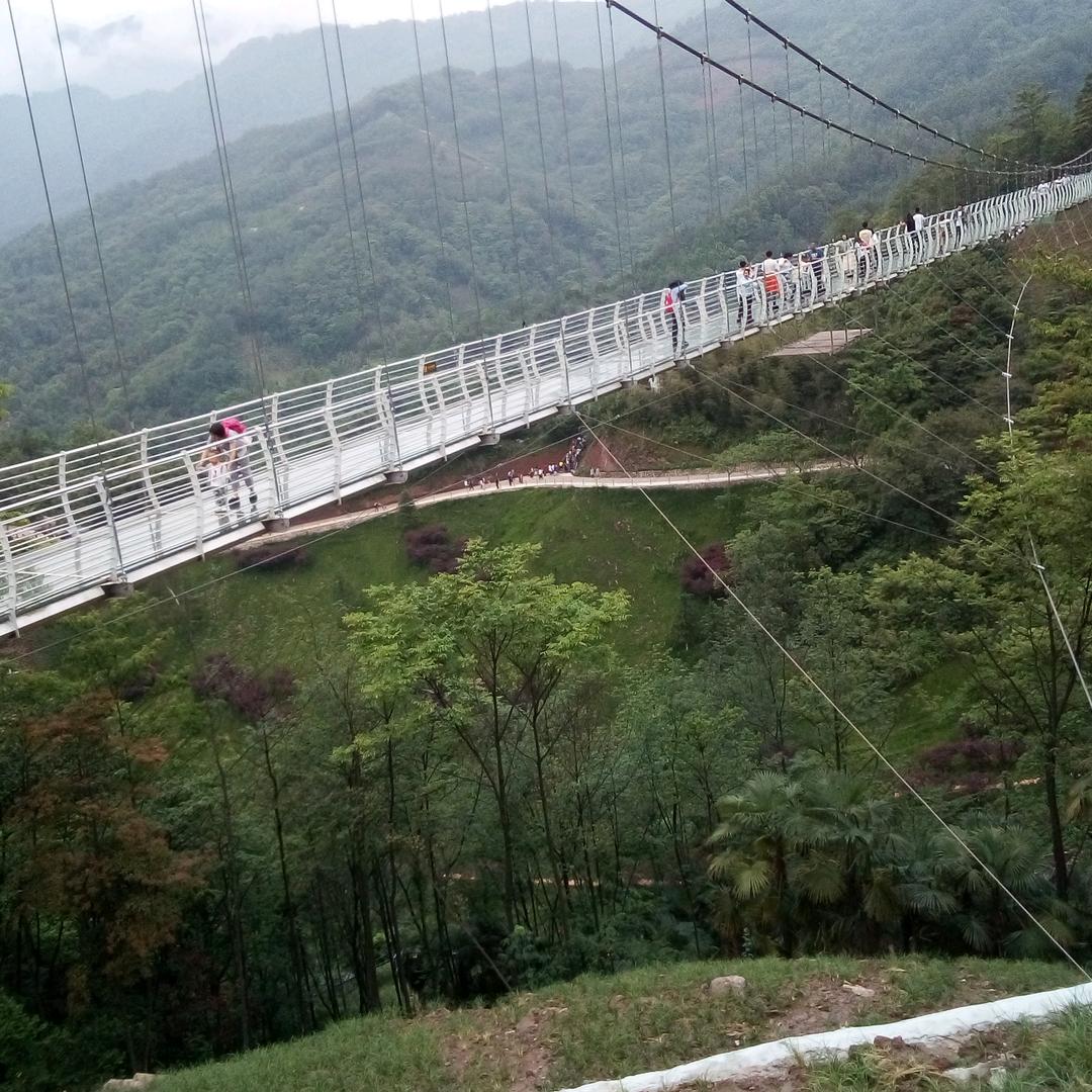 凤求凰