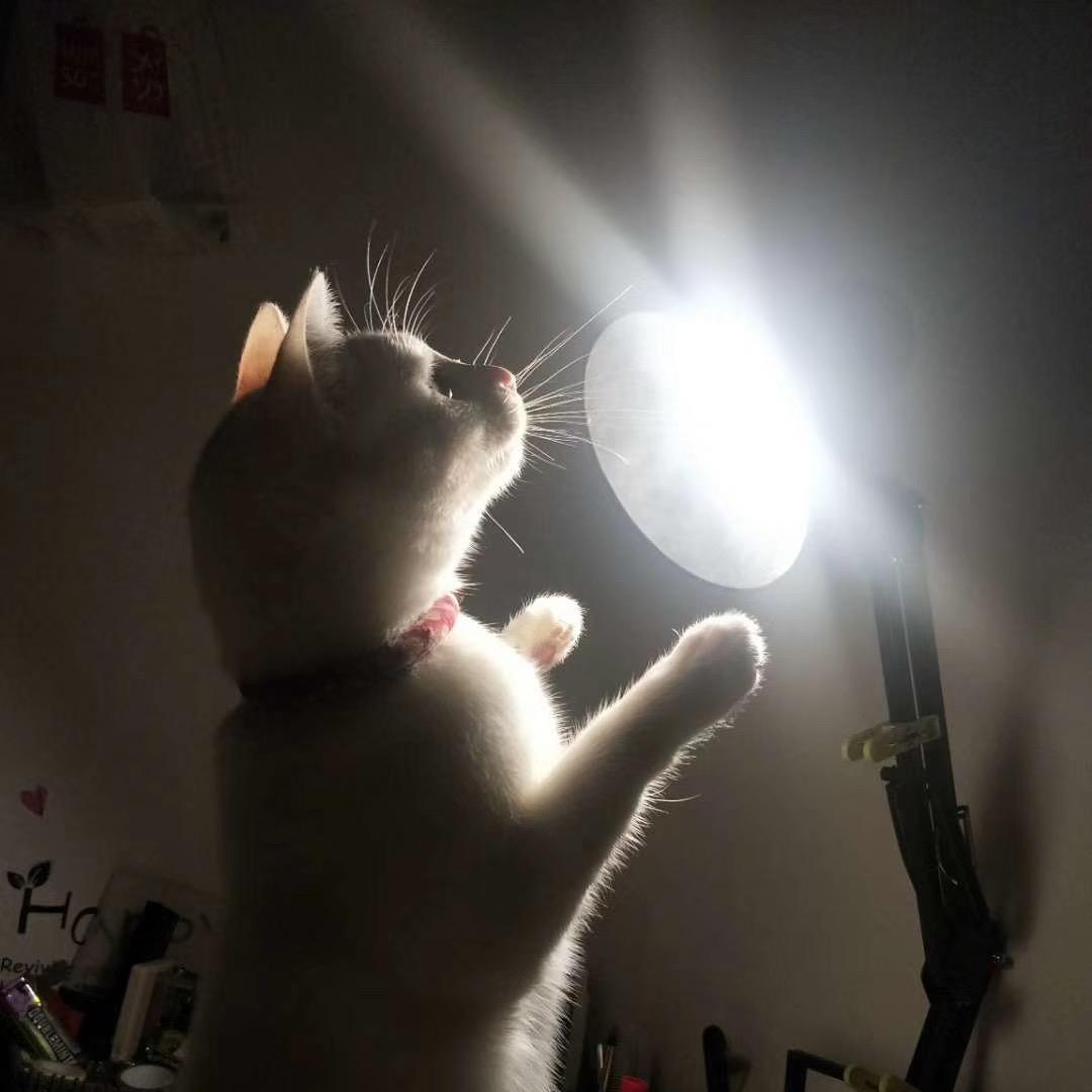 不知道姓名的人