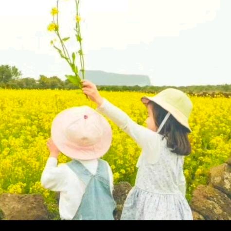遇见最美的自已文焕