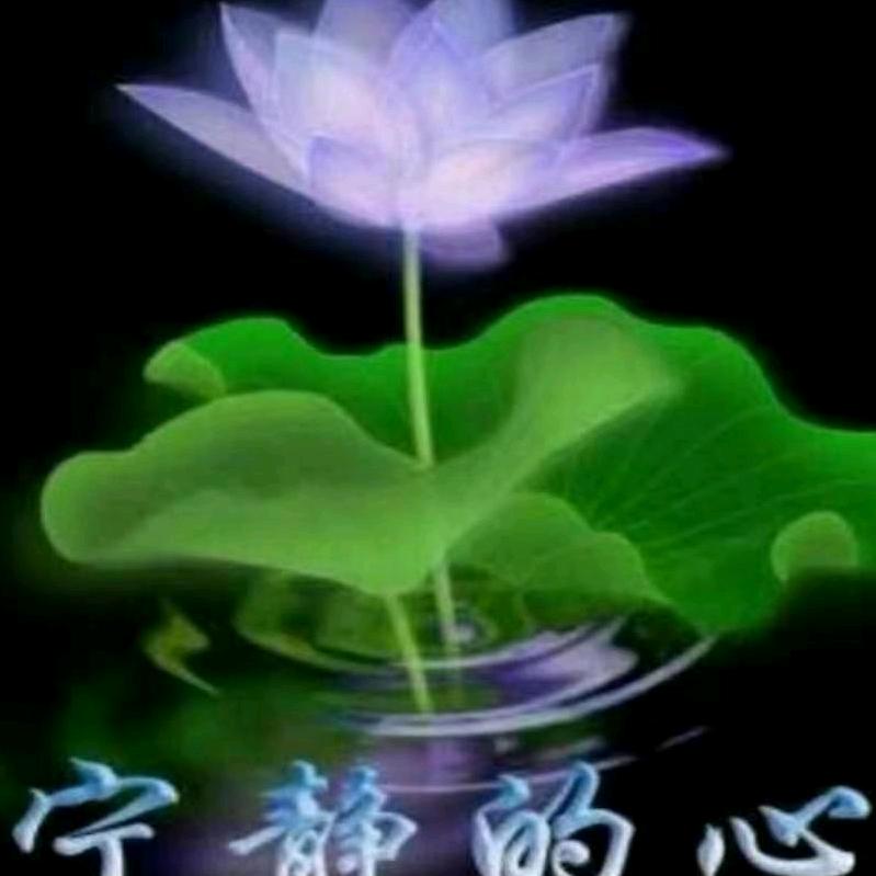 吉祥如意☘️